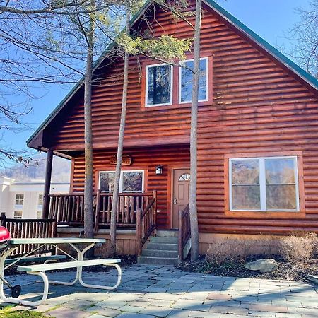Black Bear Hideaway Cabin แกตลิงเบิร์ก ภายนอก รูปภาพ